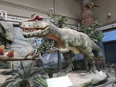 -国家自然博物馆