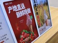 -野人先生现做冰淇淋(北京王府井东方新天地店)