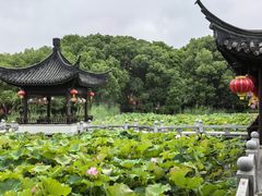 -丝绸小镇荻港古村
