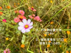 -阳澄湖半岛旅游度假区