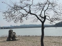 -东湖落雁景区