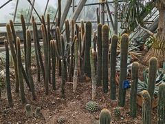 -南山植物园