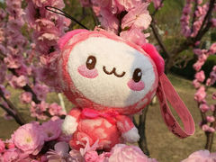 android_upload_pic-旗山国家森林公园