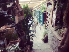 -懒鱼时光馆(沙坪坝店)