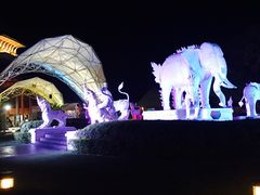 -清迈夜间动物园
