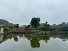-大屏嶂森林公园