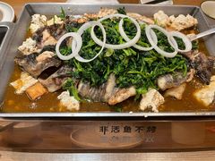 -鱼酷活鱼烤鱼(静安大融城店)