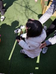 -萌宠亲子动物乐园(槐房万达店)