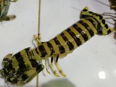 -海盗餐厅