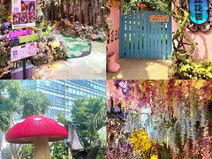 -正佳雨林生态植物园