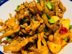 -金锅小厨(乐活街店)