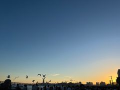 -星海广场