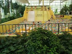 -南宫五洲植物乐园