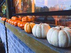 -三忘湖 SWANSEEN(柳荫公园店)