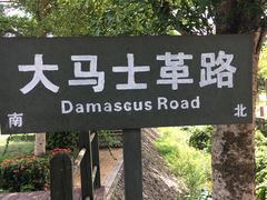 -亚龙湾国际玫瑰谷
