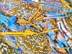 -覃记海鲜美食餐厅