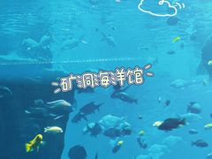 -长鹿旅游休博园