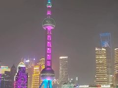 -大湾区中央湿地公园