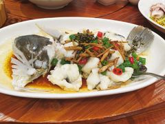 -顺德了能馆(虎门店)
