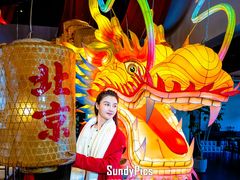 -禧宴Joyous Restaurant(禧园店)