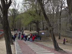 -阳台山自然风景区