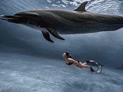 -亚龙湾海底世界