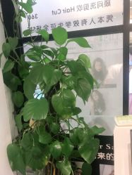 -东方麒麟·潘多拉SALON