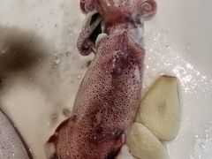 -旺来排档