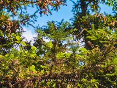 -南京金牛湖风景区