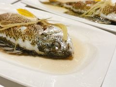 -花城苑广府菜(侨鑫店)