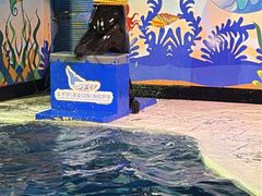 -太平洋海底世界