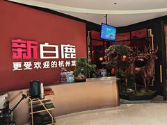 -新白鹿餐厅(湖滨银泰IN77C区店)