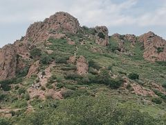 -红山国家森林公园