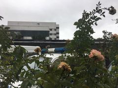 -中国中医科学院望京医院(院本部)