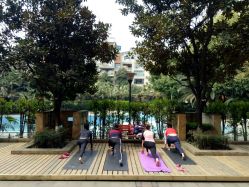 -榕树上·瑜伽普拉提