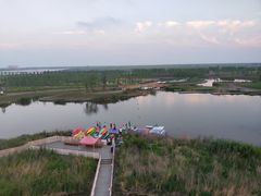 -春花秋色城市公园