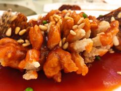 松鼠桂鱼-顺风海鲜港(长寿路店)