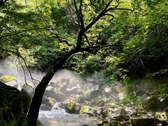 -红崖峡谷景区