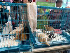 -天虹购物中心(石路店)