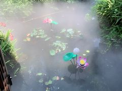 -大妙火锅·非物质文化遗产(东湖公园店)