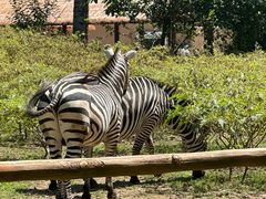 -大连森林动物园