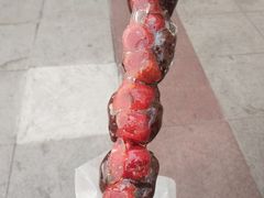 -小宝栗子(嘉华国际商业中心店)