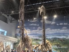 -自贡恐龙博物馆