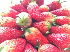 -紫阳家宴(源深店)