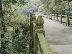 -南山植物园