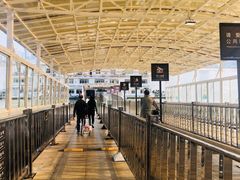 -武汉关码头(轮渡站)