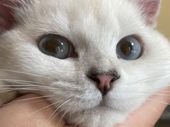 -猫力发电所·宠物专门店