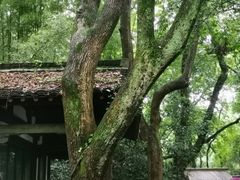 -兰亭风景区