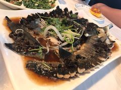 -京北渔家傲