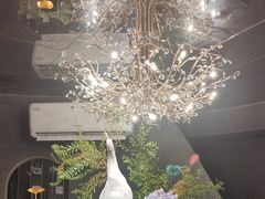 -滇野云南野生菌餐厅(陕西南路店)